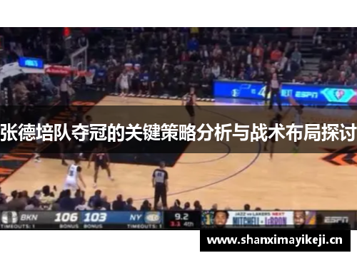 张德培队夺冠的关键策略分析与战术布局探讨